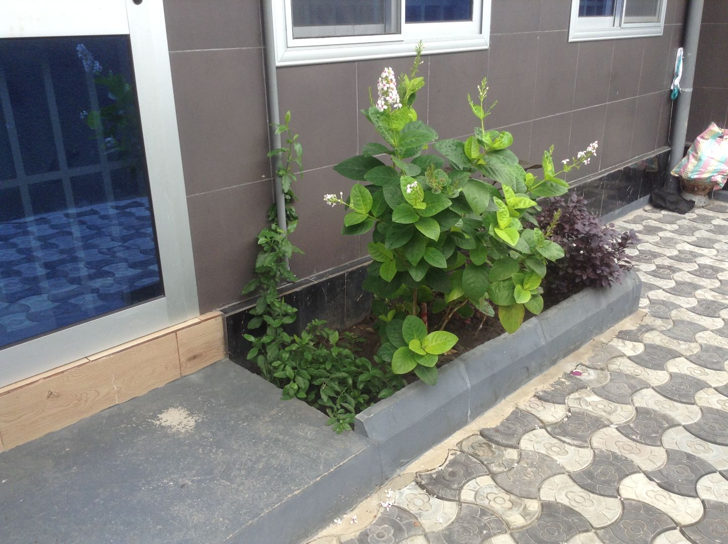 Appartement Meublé - Image 17