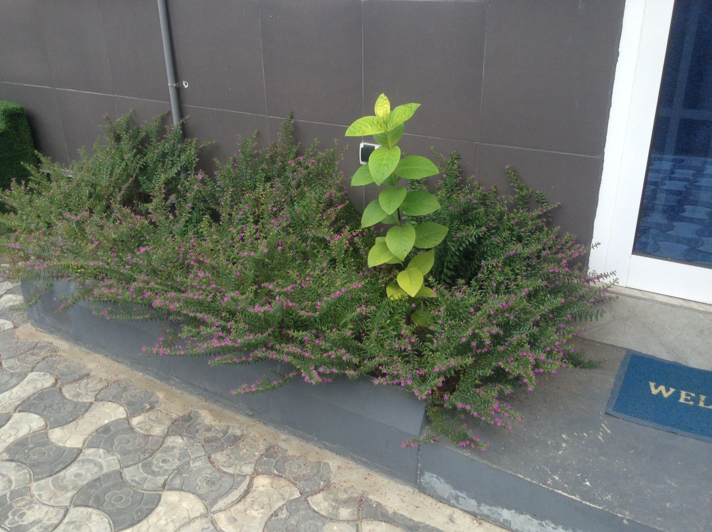 Appartement - Image 11