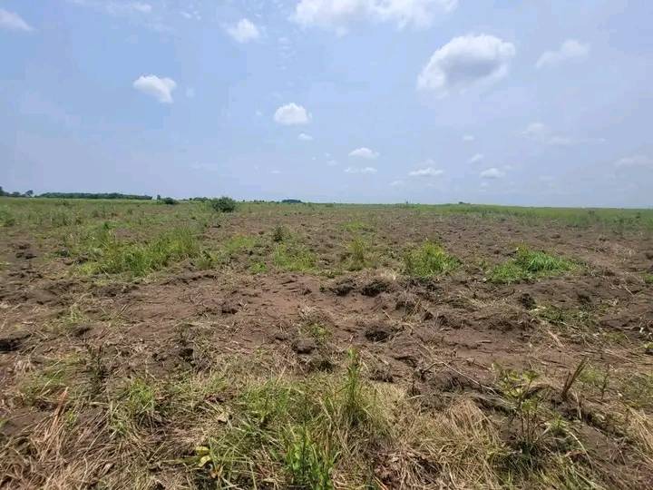 DOMAINE A VENDRE - Image 3